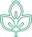 icone planta